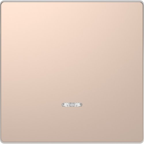 Лицевая панель Schneider Electric Merten D-Life для 1-кл. выключателя с подсветкой шампань фото Лицевая панель Schneider Electric Merten D-Life для 1-кл. выключателя с подсветкой шампань картинка